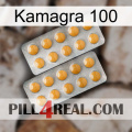 Kamagra 100 levitra2